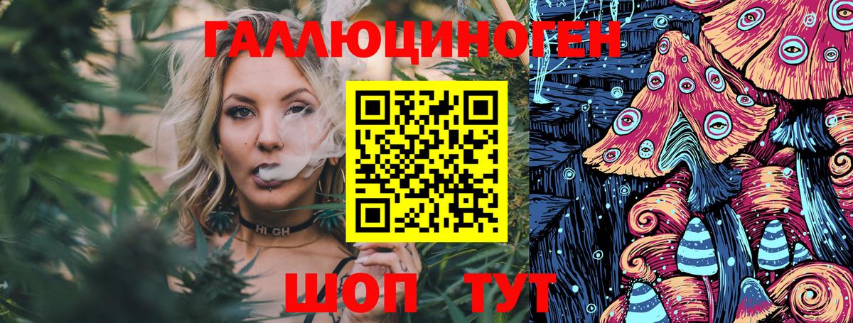 Псилоцибиновые грибы мицелий Кингисепп